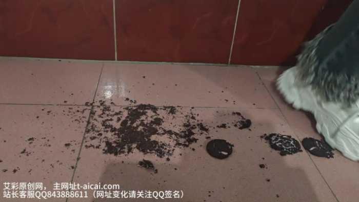 【爱秀套图】【桃子姐姐】复工第一踩~ YC-250212