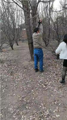 【网盘】【沐颜】野外-捆绑树上重刑鞭打【双视角版】JS250112-20