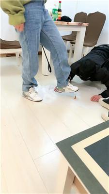 【网盘】【乔伊】双S-运动鞋暴力踢踹虐打/脚下喂食【三视角版】bf49221