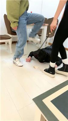 【网盘】【乔伊】双S-运动鞋暴力踢踹虐打/脚下喂食【三视角版】bf49221