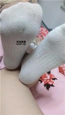 小雪灯    250310-35