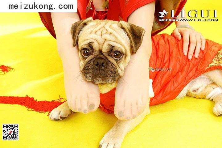 资讯|Ligui丽柜 &#8211; 2018.05.11 网络丽人 Model 璐璐 [50p-52M]