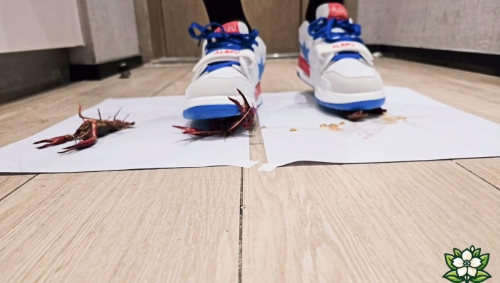 资讯|crush C3050 &#8211; 茉莉厚黑丝运动鞋踩射龙虾 [9分14秒]