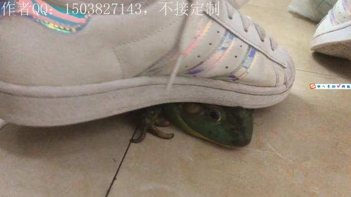 资讯|crush 《星梦》贝壳头白袜跺喷2牛蛙 [19分35秒]