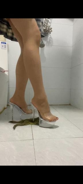 资讯|crush 柔柔17cm透明高跟牛蛙 [19分35秒]