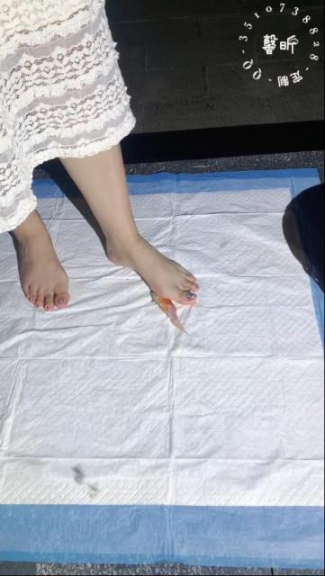 资讯|crush 定制馨昕河边剧情裸足金鱼 [8分14秒]