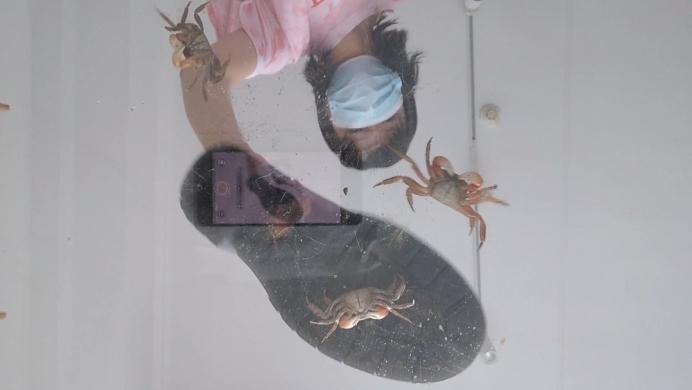 资讯|crush 玻璃板视角踩螃蟹 [12分20秒]