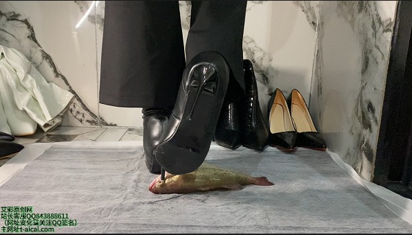资讯|crush 《凝霜》超细跟过膝靴踩鱼 [23分37秒]