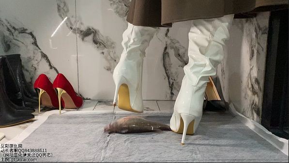 资讯|crush 《凝霜》白长靴踩鱼鲜血染红靴跟 [23分37秒]