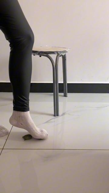 资讯|crush 柔柔皮裤坐龟踩龟 [10分31秒]