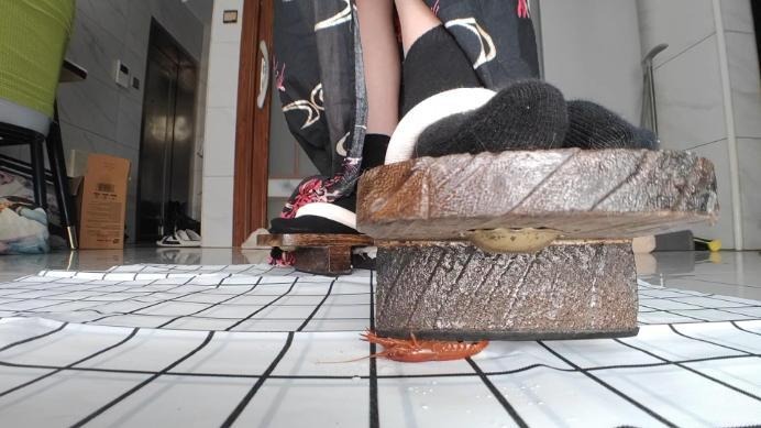 资讯|羲又原创 《羲又踩虾》木屐小龙！ [9分14秒]