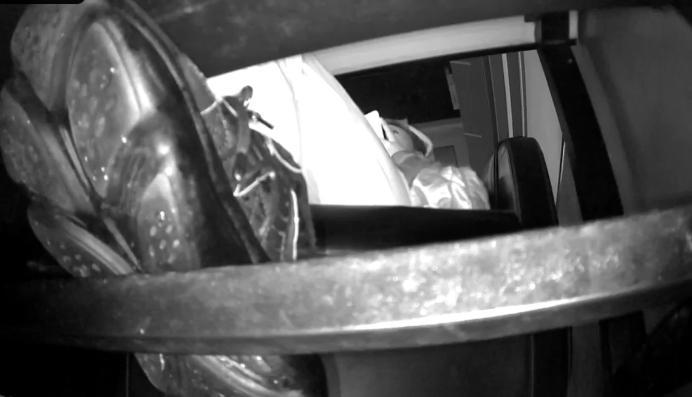 资讯|crush 《紫杨无意识》2021.10.22网吧无意识踩手踩乌龟仰视第一视角 [23分37秒]