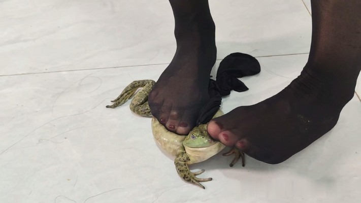 资讯|crush C2175 &#8211; 安然露脸黑丝玉足踩大牛蛙深喉抽插 [19分35秒]