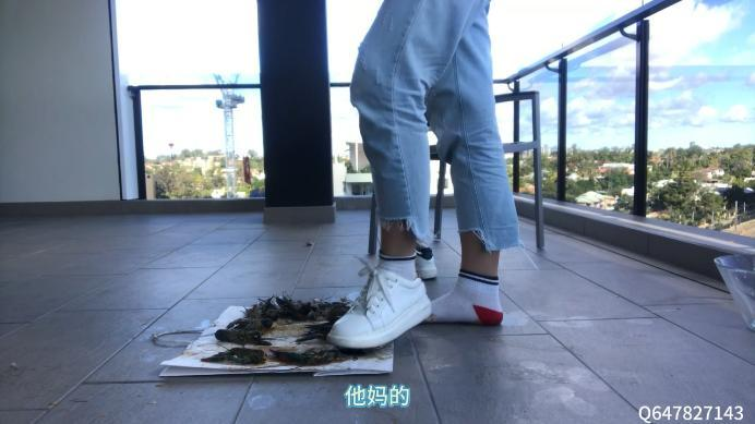 资讯|crush 都是你的错，受死吧！ [9分14秒]