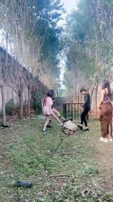 直播视频 《沅芷大人》4S户外处刑-麻袋套-暴力鞭打/踢踹 [35分40秒]