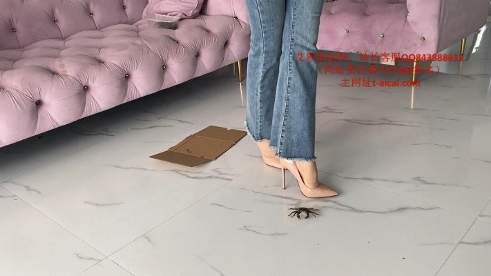 资讯|crush 《宝儿工作室》宝儿白领丽人风让不听话的小螃蟹客户心肠破碎| [12分20秒]