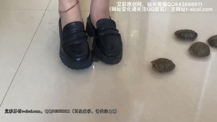 crush 来自微胖界安安的碾压——乌龟和龙虾 [10分31秒]