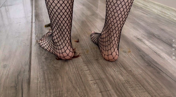 资讯|crush 莎莎黑色网袜踩龙虾 [9分14秒]