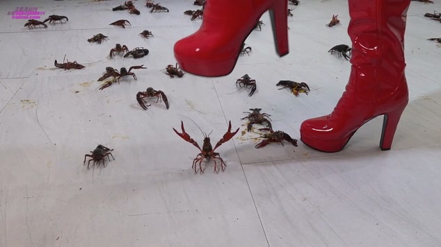 资讯|crush Sofia Crayfish [9分14秒]