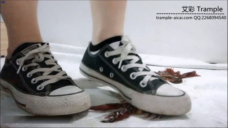 资讯|crush 小女生可爱帆布鞋踩群龙虾 [9分14秒]