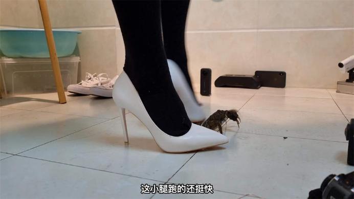 资讯|婧児小主 LCT060h XG白色高跟帆布鞋放松解压螃蟹 全语言字幕版h 侧中距视角 [12分20秒]