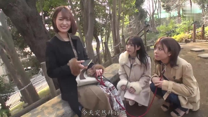 资讯|日韩调教 《汉化》美女母狗们被辣妹饲养采访实录 [35分22秒]