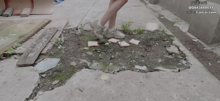 资讯|crush 《小熏》运动少女户外踩踏面包 [9分43秒]