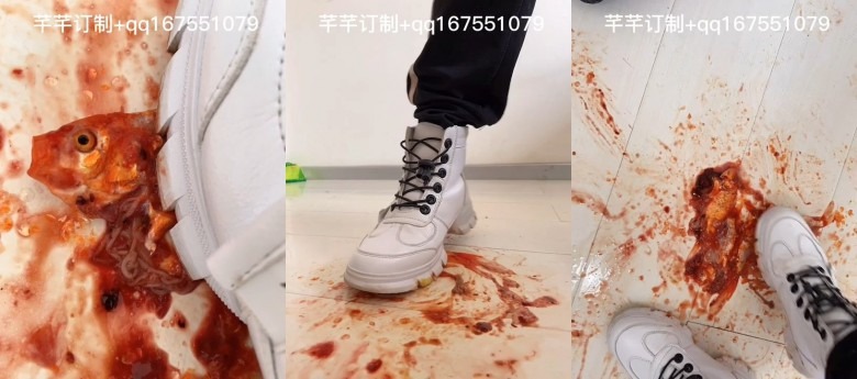 资讯|crush [木子芊芊] 肚破肠流 [8分14秒]