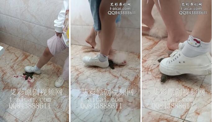 资讯|crush 《小婷原创》和闺蜜一起踩甲鱼 [6分3秒]