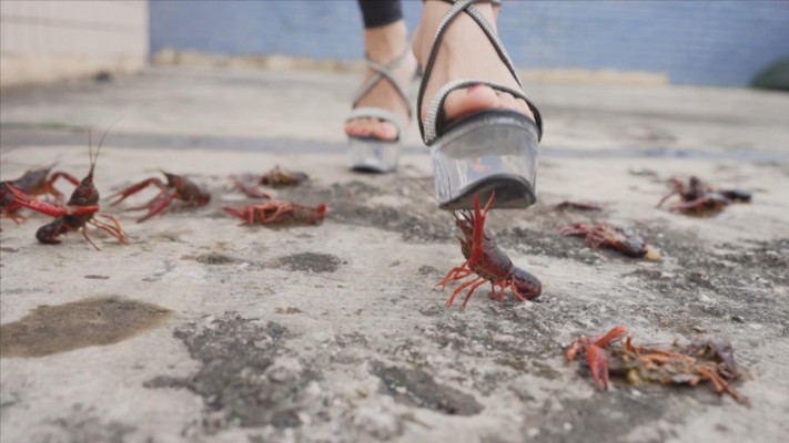 资讯|crush 〔Magic︱Mirror 魔镜少女〕—星奈踩碎鱼虾蟹 [31分27秒]