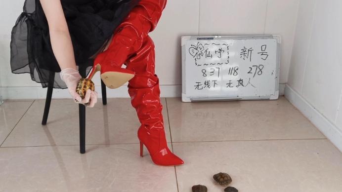 crush 仙宁美艳红靴爆插乌龟 [10分31秒]