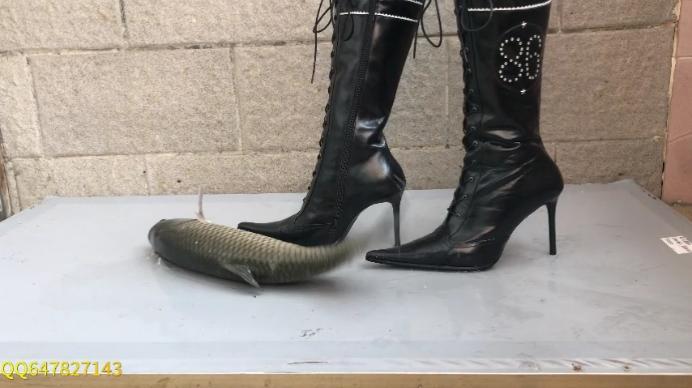 资讯|野性偏爱 性感高跟靴踩穿大鱼 [23分37秒]