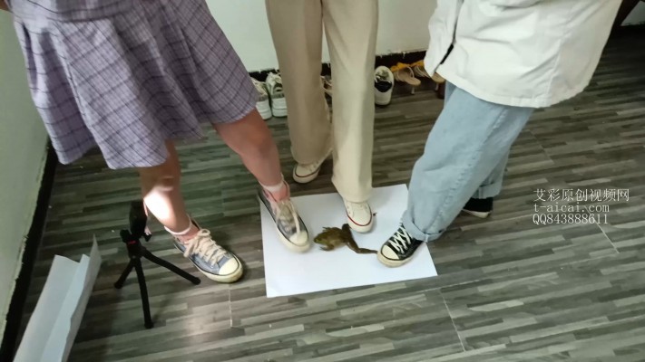 资讯|crush 三姐妹踩3牛蛙和一个大甲鱼 [8分16秒]