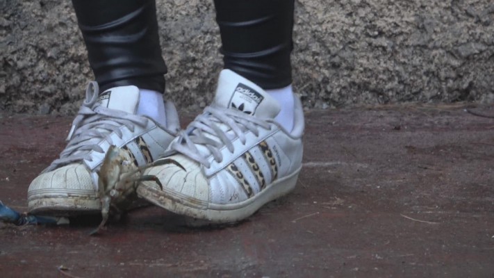 资讯|crush Silvia-漂亮女孩踩螃蟹 [12分20秒]