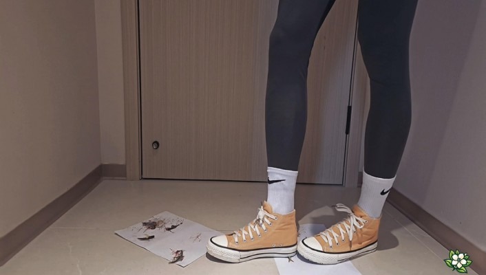 资讯|crush C2697 &#8211; 棉袜帆布鞋踩小鱼 [23分37秒]