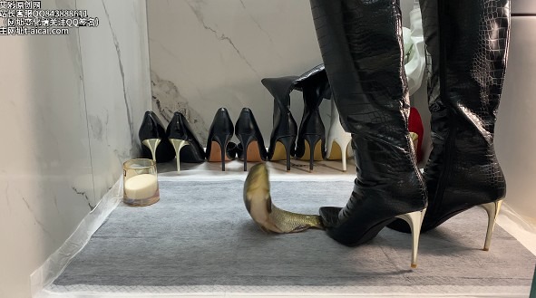 资讯|crush 《凝霜》金属跟长靴在鱼身上踩血洞 [23分37秒]