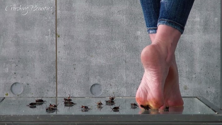 资讯|crush 1159 &#8211; 女王牛仔裤裸足踩烂蟋蟀 [10分14秒]