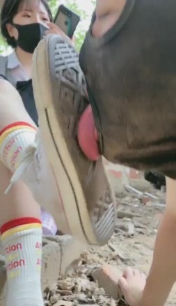 直播视频 《美离子s》大片:户外吊起堵嘴狠虐 [21分19秒]