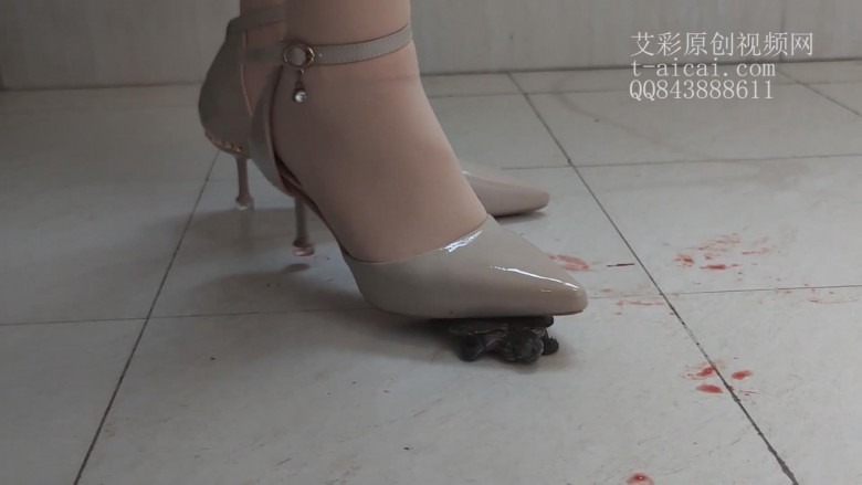 crush 新人女主肉丝高跟暴踩3只乌龟 [22分18秒]