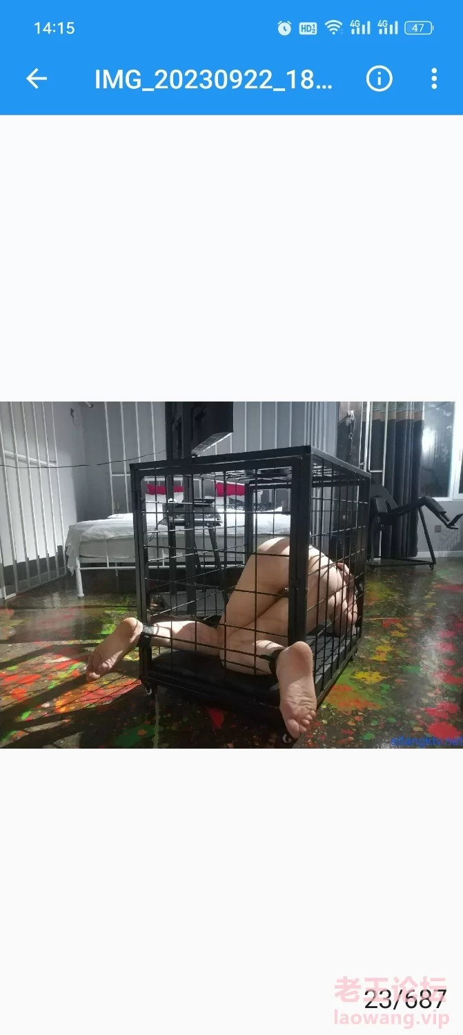 [转载搬运] 推特 总在你背后TK 女神调教成母狗给兄弟一起操 [687p90v-2.76g]
