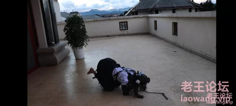 资讯|咕咕精束缚tk [V：若干-43GB]