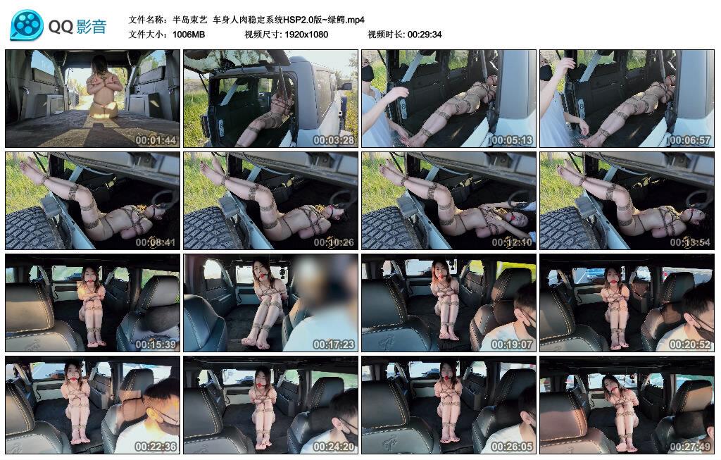 半岛束艺车身人肉稳定系统HSP2.0版~绿鳄