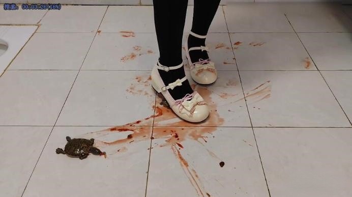 资讯|crush 可爱黑袜奶白萝莉皮鞋踩扁龟 [14分59秒]