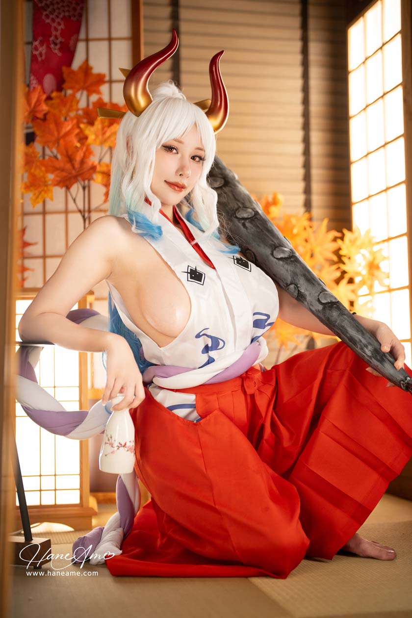 【网盘】雨波_HaneAme-海賊王 大和