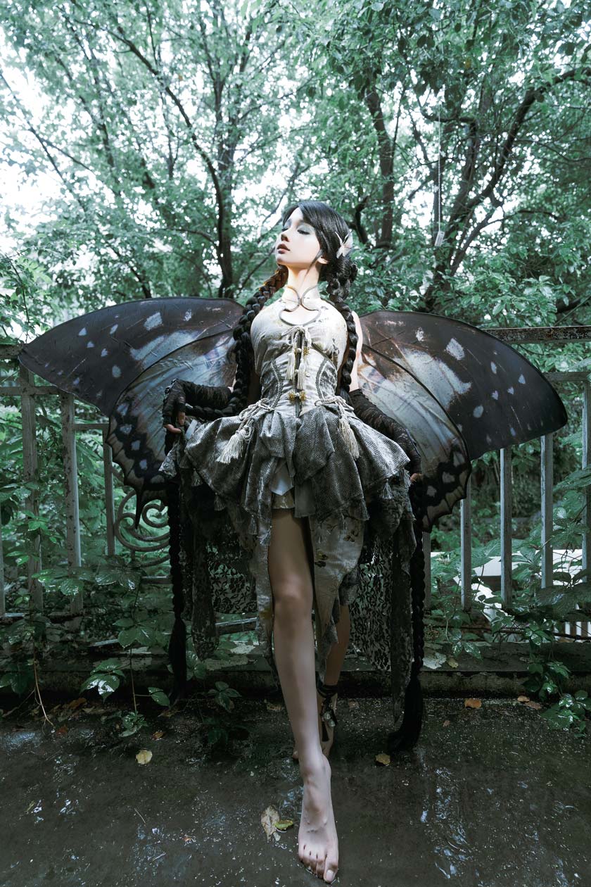 【网盘】蠢沫沫-枯叶蝶