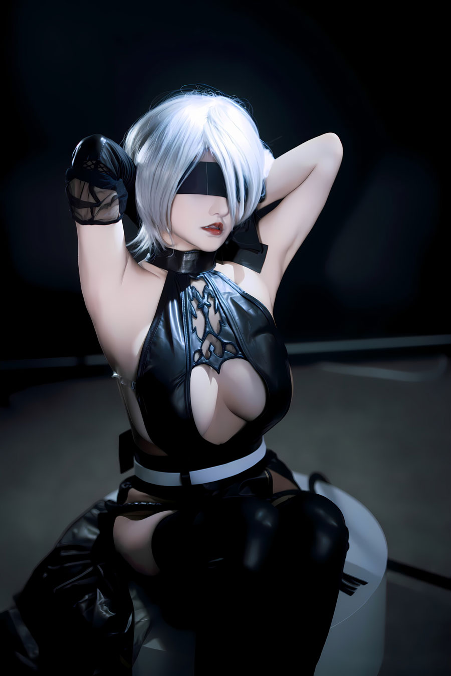 【网盘】古阿扎-尼尔 寄叶2号B型