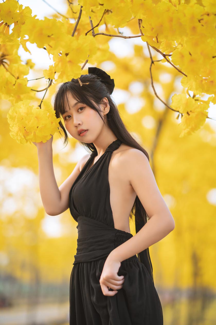 萌芽儿o0-秋有银杏 春有黄风铃