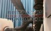 【网盘】【艾莉】骑马转胯/打板子/长靴踩踏/脚插嘴 bf30957