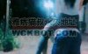 【网盘】【蓝蝶魅主】户外骑马爬行/全体重踩踏 bf31241
