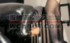 【网盘】【靴嘉倪】长靴黑丝踩/囚禁狗笼/虐打口球塞嘴【上中合集】 bf32829